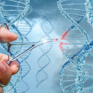 Avances y Perspectivas de la Terapia Génica y Edición Genómica en Inmunodeficiencias Primarias y Trastornos Hematopoyéticos.